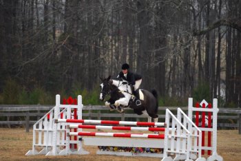 Marshall professor will travel to Spain to present her research on sport horses Dr. Abbey Dondanville has been riding horses for more than 30 years. Based on the data collected from her recent research, she hopes to prevent many amateur riders from experiencing a fatal fall in the future.
